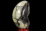 Septarian Dragon Egg Geode - Black Crystals #96028-2